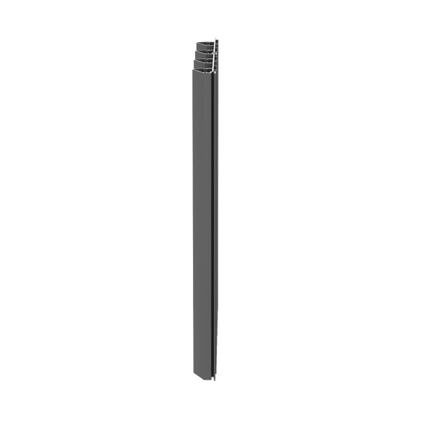 Paralline Angle