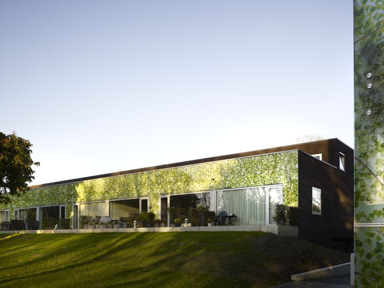 ConceptSystem 68 Fenêtres, XS 68 Fenêtres et ConceptSystem 68 Portes - Complexe immobilier Ginkgo de Bergbeek apartements situé àles Pays-Bas